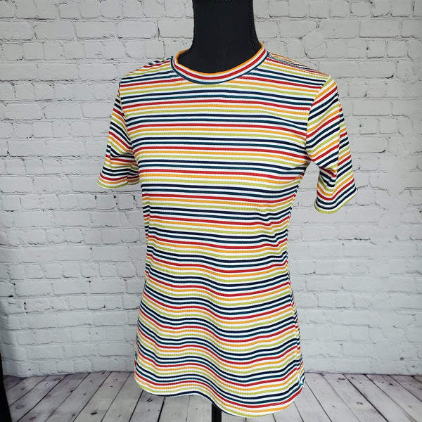 Rainbow Rib Knit Basic Tee