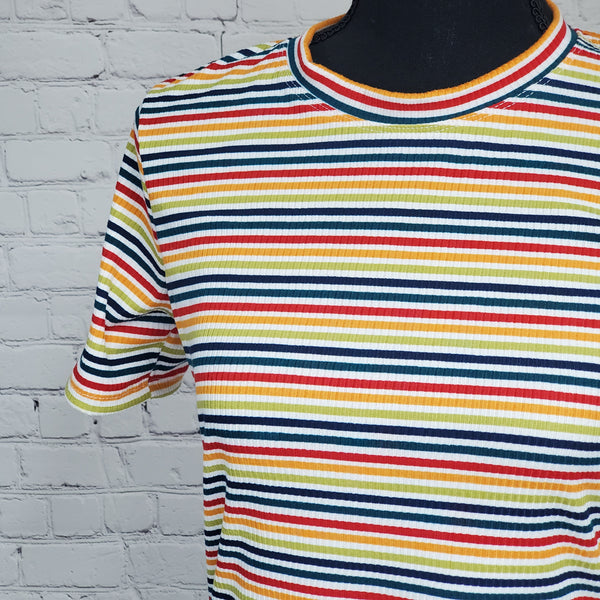 Rainbow Rib Knit Basic Tee